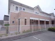 クローバーの画像