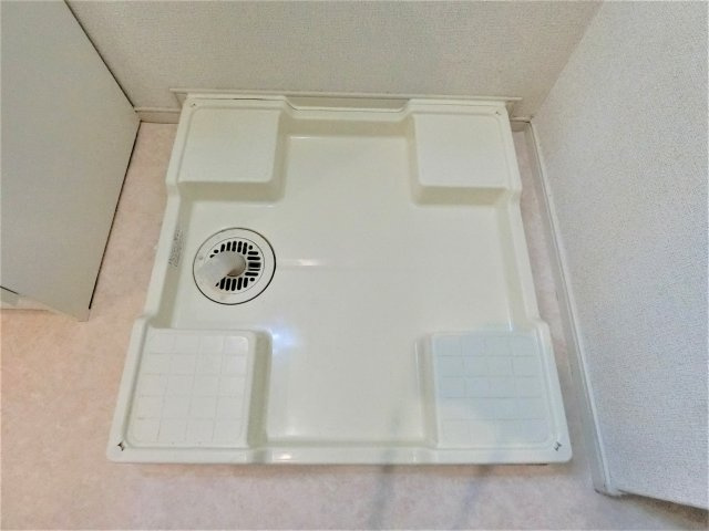 【その他】 | ペスティーニョ