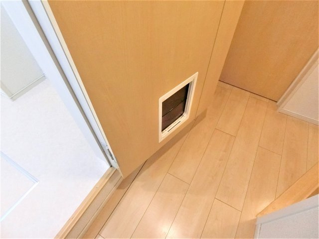 【その他】 | ペスティーニョ