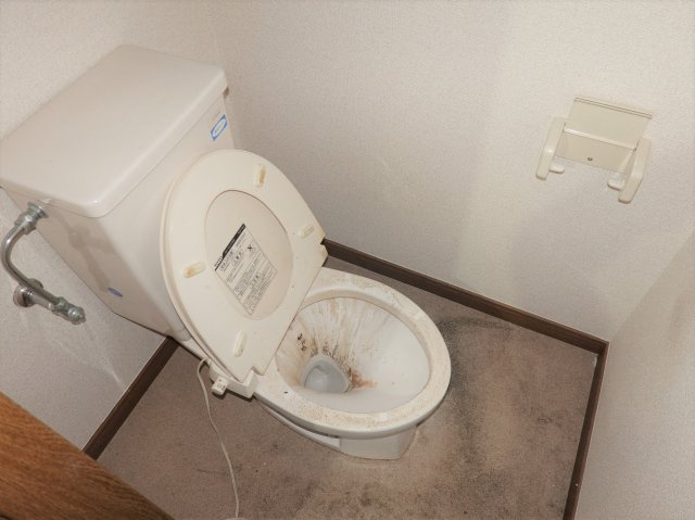 メゾンドエフの浴室