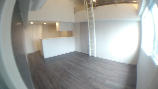 中央区新富１丁目の賃貸マンションの居間・リビング