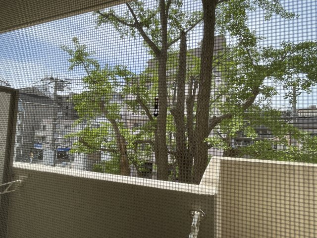 ファミール中野１の展望