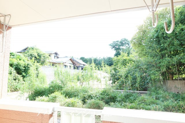 ヴィラブリーゼBの展望