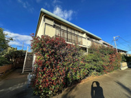 シティハイム　グリーンハイムの画像