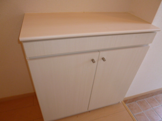 プラシードの玄関|シューズボックス