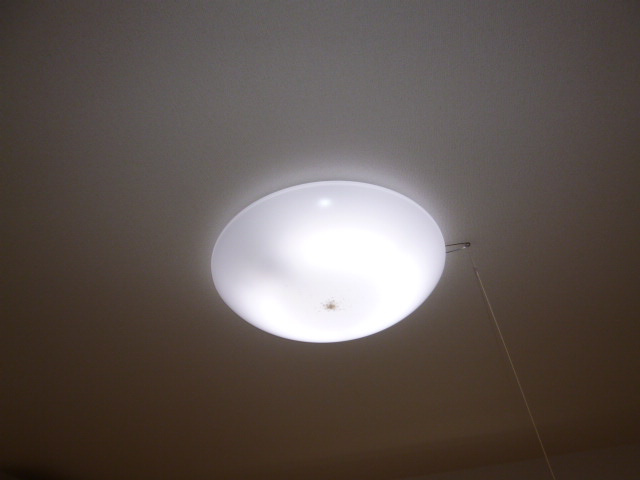 プラシードの設備|照明