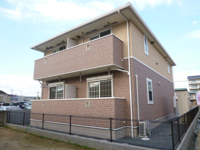 プラシードの外観