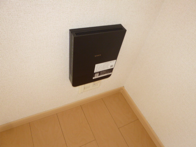 プラシードのその他
