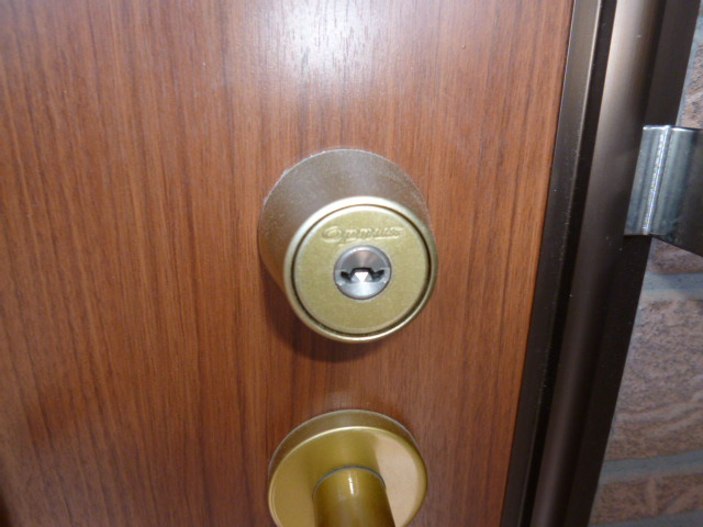 プラシードのセキュリティ|オプナスキー