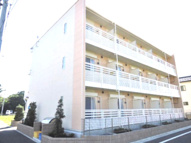 レオネクストフィオーレの画像