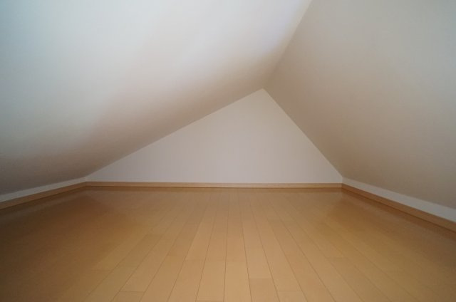 グリーンカーサのその他