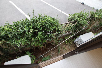 【バルコニー】 | コスモハイツエコー