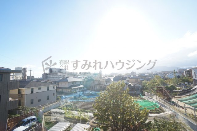 フローレスタの展望