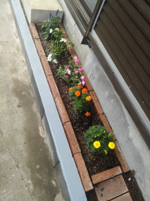 【周辺】 | 立川幸町6丁目貸家 | 車スペースに花壇があります。お好きなお花を植えてください。