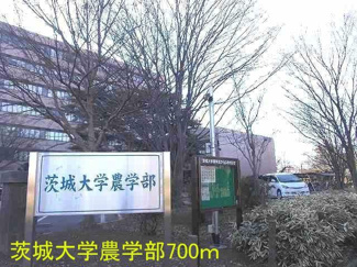 【周辺】
