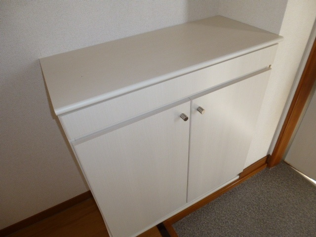 ニューシティヒラタＢの玄関|シューズボックス