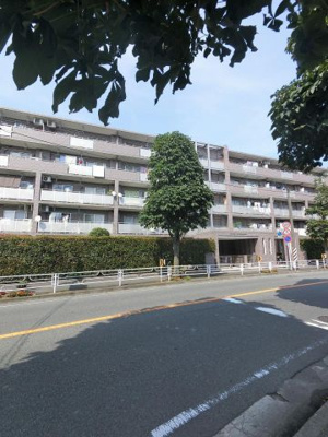 【外観】 | セントエルモ宮前平 | 東急田園都市線「宮前平」駅バス12分！バス停「野川台」徒歩1分！