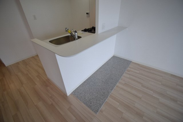 リーサ・ボニートのキッチン|カウンターのオシャレなキッチンです。