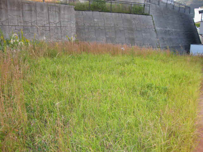  | 長田五位ノ池町３丁目売土地