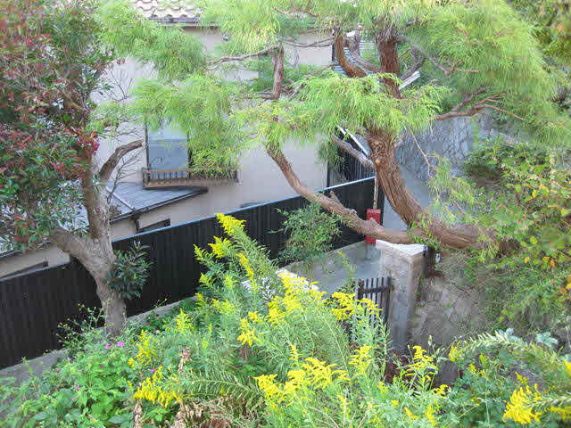  | 長田五位ノ池町３丁目売土地