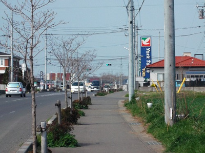 【その他】 | Y&Mピソラージョ