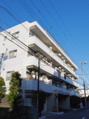 【外観】 | マイキャッスル武蔵中原Ⅱ | 家具付につきすぐに新しい生活をスタートする事が出来ます！