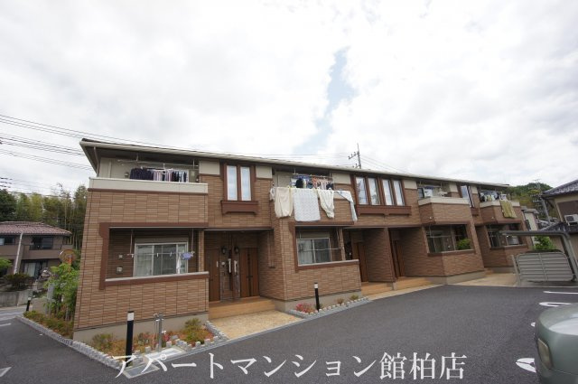 セレナーゼ