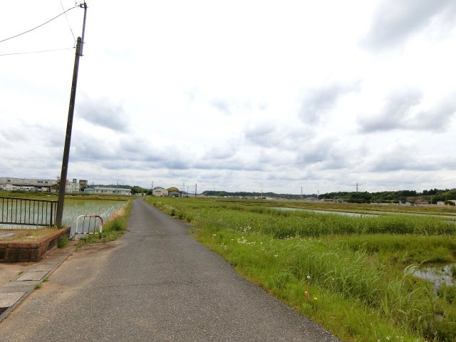 金中貸家の周辺