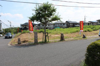 【外観】 | 2017年7月撮影、4号地外観、北から