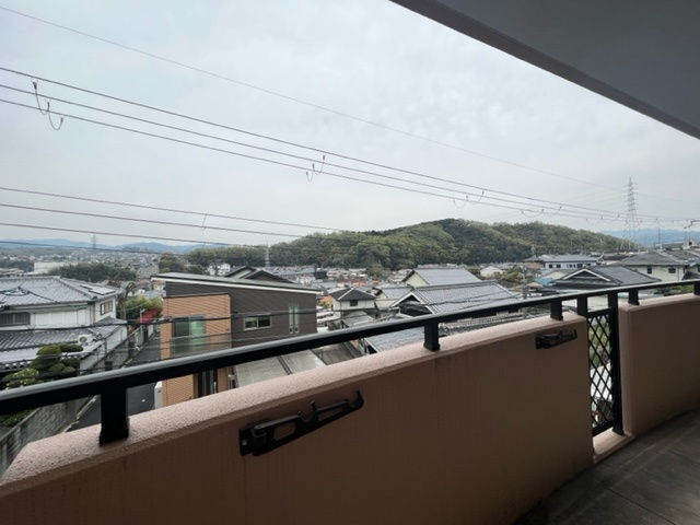 ホワイトロートスの展望