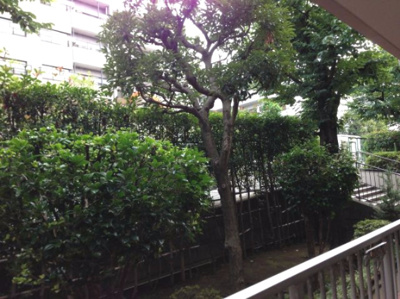 【展望】 | 宮前平スカイハイツ