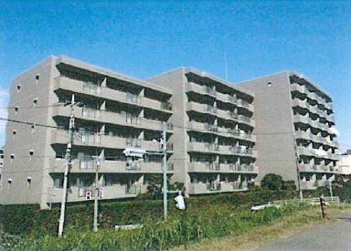 【外観】 | 多摩川南パークハイツ | バルコニーから多摩川河川敷の花火がご覧いただけます！