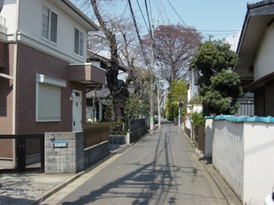 【周辺】 | ミモザ(杉並区高井戸賃貸一戸建て) | 前面道路