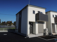 コスモスAの画像