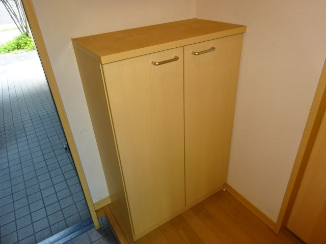 トリニティコートＡの内装|シューズボックス