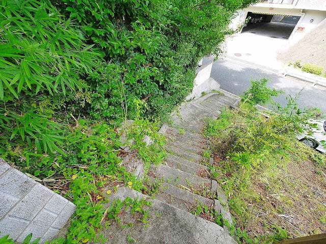 西松ケ丘平屋森田邸のエントランス