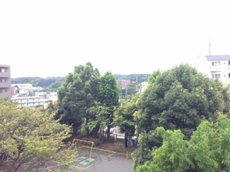【展望】