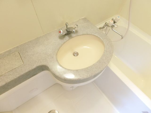 メゾンアルカディア金剛の洗面所