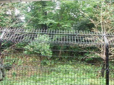 【展望】 | エクレール乃木坂