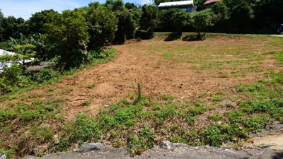 【周辺】 | 本部町　土地