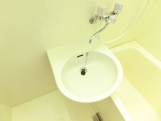 アメニティハイムの洗面所