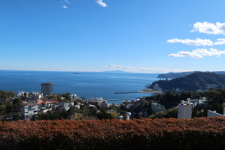 【展望】 | 物件ロビーからの眺望です