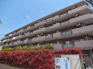 【外観】 | 物件のお問い合わせは、 ０３－５４５６－５４１５までお気軽にどうぞ！