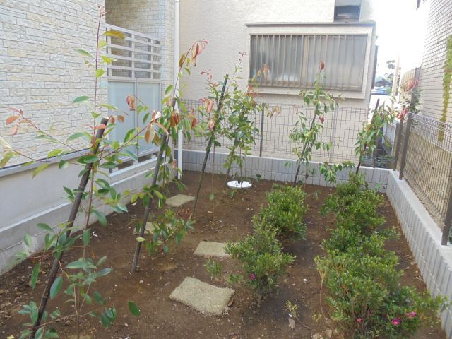 リブリ・ブランチ・サワダの庭