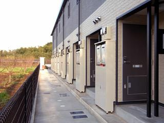 【エントランス】 | 白井 