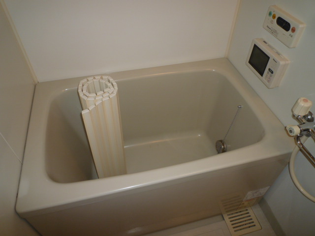 ヴィーブルの浴室