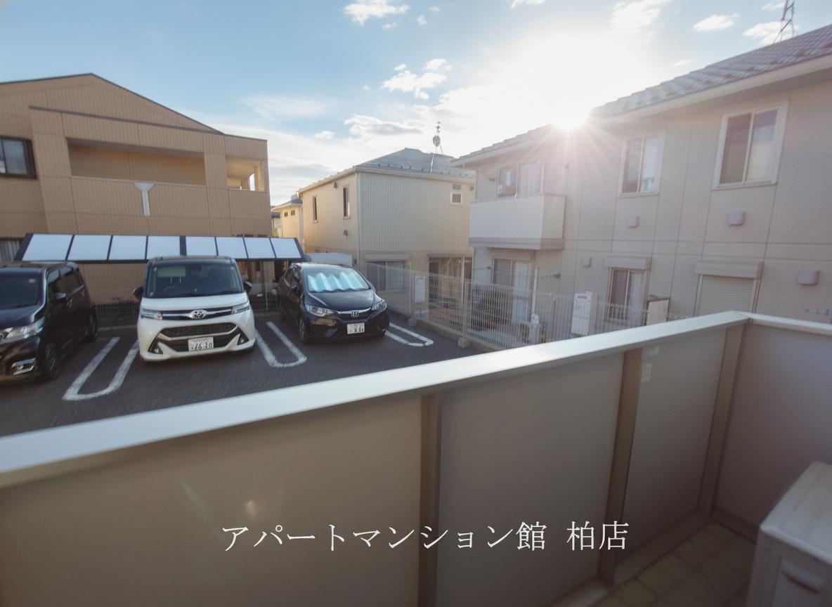 センターフィールドＢの展望