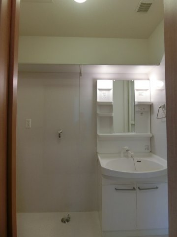 ベルアネスB棟の洗面所|308号室の写真