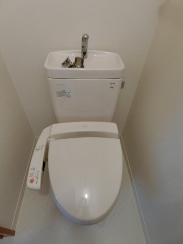 ベルアネスB棟のトイレ|308号室の写真