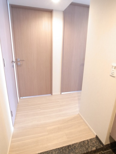 中央区月島２丁目の賃貸マンションの玄関